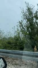 Vehicle travels through mountainous Montenegro landscape under overcast skies