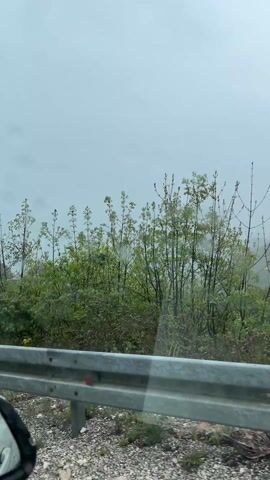 The video captures a view from a moving vehicle, likely a car, showcasing a verdant, mountainous landscape under an overcast sky. The primary subjects are the natural scenery and a metal guardrail alongside the road.

The scene features dense green foliage, including various trees and bushes, some with lighter green leaves, others appearing bare or with darker, almost black, branches against the muted sky. Patches of yellow flowers are visible amidst the green shrubbery at the base of the hills. In the background, layers of mountains are shrouded in mist or low clouds, giving them a hazy, ethereal appearance. The sky itself is a uniform, light gray, indicating overcast weather, possibly rain or mist.

In the foreground, a silver metal guardrail runs horizontally across the lower part of the frame, separating the road from the natural terrain. A red reflector is visible on the guardrail at one point. The edge of a car's side mirror, partially obscured, is visible in the bottom left corner, confirming the perspective from inside a vehicle.

The activity depicted is a car journey through a mountainous region. The video pans slightly, revealing different sections of the landscape as the vehicle moves. There are no people visible in the footage. The overall impression is one of a quiet, somewhat somber drive through a natural environment, characterized by lush greenery and misty mountains. No visible text is present in the video.