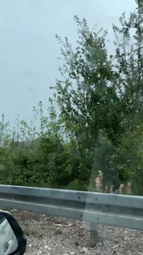 Vehicle travels through mountainous Montenegro landscape under overcast skies