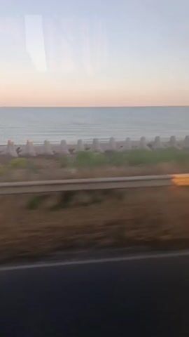 The video captures a side view of a body of water, likely the ocean, with a pale pink and blue gradient sky above. In the foreground, there is a blurred landscape with dry grass and a grey guardrail, suggesting the footage is taken from a moving vehicle, possibly a car or train. Along the coastline, a series of concrete wave-breaking barriers are visible, followed by a strip of green vegetation. A small, white rectangular structure with a grey roof and a lamppost is also briefly visible on the shore. The overall impression is that of a coastal drive during sunrise or sunset.