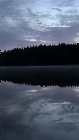 A video shows a serene lake at dawn or dusk. The sky is filled with soft, muted clouds, painted with hues of purple, pink, and gray. A dark, dense forest lines the distant shore, its silhouette stark against the twilight sky. The calm water of the lake perfectly mirrors the sky and the trees, creating a symmetrical and tranquil reflection. A faint mist or fog hovers just above the water's surface, adding to the ethereal atmosphere. The overall impression is one of peace and natural beauty.
