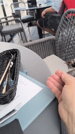 Witness captures everyday moments in Klaipėda's cafes and streets