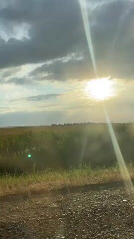 This media file captures a scenic view of a rural landscape in Barsukovskaya, Russia, during what appears to be late afternoon or early evening, given the setting sun.

The scene is dominated by a vast, open field, likely agricultural, with crops of varying heights and shades of green and yellow. The field stretches towards a distant horizon, marked by a subtle line of trees or shrubbery. The foreground is a rough, unpaved ground, possibly a dirt road or pathway, covered in gravel and pebbles.

A bright sun shines through a dramatic sky filled with dark, heavy clouds interspersed with patches of lighter sky. The sunlight is intense, creating a lens flare effect that streams diagonally across the frame, adding a sense of warmth and perhaps a touch of drama to the scene. There's a distinct green lens flare visible in the middle ground, indicating the direction of the light source.

A tall, slender pole with two rectangular signs attached stands vertically on the right side of the frame, cutting into the sky. These signs are mostly obscured by the glare of the sun, making any text or imagery on them unreadable.

The overall mood is serene and perhaps a little melancholic, due to the interplay of bright sunlight and brooding clouds. The natural setting evokes a sense of peace and the vastness of the countryside. There are no people or animals visible in the frame. The activity taking place is simply the passage of time, marked by the setting sun and the shifting light.