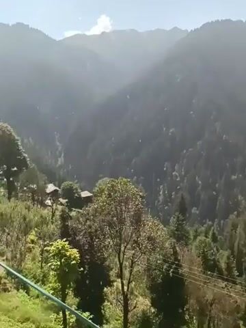 The video shows a mountainous landscape covered in lush green trees, with a clear blue sky above. The sun is shining, casting a soft light on the scene. The camera pans slowly across the mountains, revealing their immense scale and beauty. The trees are dense and varied, with some appearing taller and more mature than others. In the foreground, there are power lines stretching across the frame, suggesting human presence in the area. The overall impression is one of serene natural beauty and tranquility.