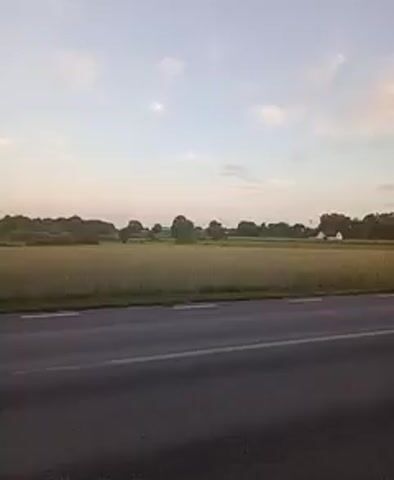 The video shows a view of a rural road and a field of crops under a pale sky. The road is asphalt with white lane markings. On the right side of the road, there is a grassy shoulder. Beyond the road is a large field of golden crops, possibly wheat or barley, stretching towards a line of trees in the distance. A few scattered houses or buildings are visible amongst the trees. The sky is a light blue with wispy white clouds, suggesting it might be early morning or late afternoon. There are no people or vehicles visible in the scene. The camera appears to be stationary, looking out over the landscape.