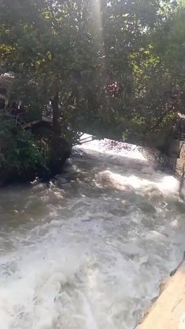 A wide, muddy river flows rapidly under a stone bridge. The water is churned with white foam and rapids, indicating a strong current. Lush green trees overhang the scene, with sunlight filtering through their leaves. On the left bank, a grassy slope leads up to a small structure with people visible on what appears to be a balcony or walkway. The scene is captured from a slightly elevated perspective, looking downstream towards the bridge.