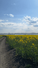 Drone captures sunny dirt track scene in Burgas