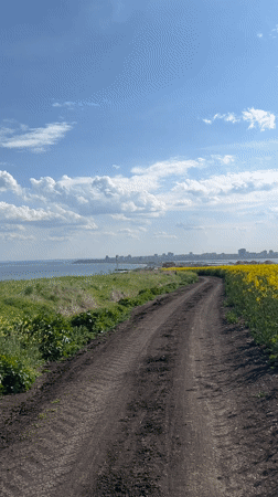 Drone captures sunny dirt track scene in Burgas