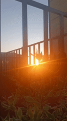 Sunset illuminates residential area in Lermontov, Russia