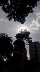Evening street life documented in Caracas neighborhood
