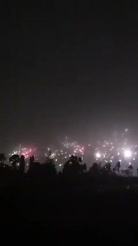 The video captures a fireworks display at night. The sky is dark, and the silhouettes of trees and foliage form a dark line across the lower portion of the frame. Bright bursts of light from the fireworks illuminate the sky in various colors, including pink, white, and green. The fireworks appear to be spread out horizontally across the scene, suggesting a large display. The overall impression is of a festive and visually striking event.