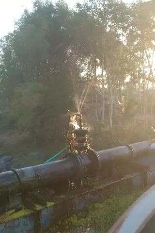 A sprinkler attached to a pipe sprays water in an outdoor environment. The background features trees and foliage. Sunlight filters through the leaves, creating a bright, hazy effect. The pipe appears to be made of dark metal and has some debris or moss growing on it. A green hose is connected to the sprinkler assembly. The video is filmed in portrait orientation.