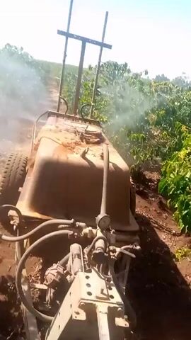 The video shows a first-person perspective from what appears to be a mechanized sprayer driving through a field of small trees. The sprayer is rusty and seems old, with a tank, hoses, and a simple metal frame. White smoke or mist is being sprayed from the machinery, presumably to treat the plants. The trees are arranged in neat rows, and the ground is reddish-brown dirt. The sky is clear and blue, suggesting a sunny day. The video is somewhat shaky, reflecting the movement of the vehicle.