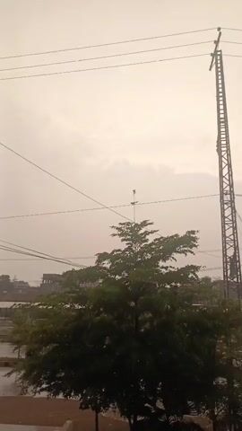 The video presents an overcast outdoor scene, possibly during or after a rainstorm. In the background, a tall, slender communication tower stands prominently, connected to the grid by multiple electrical cables. Several green trees are visible, their branches and leaves wet. A body of water is also visible in the midground, and a street light is visible in the background. The video appears to be taken from an elevated position, such as from a window or balcony.