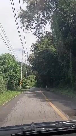 A car is driving down a road surrounded by lush green trees. The road is paved and has a yellow line down the center. There are utility poles with wires running along the left side of the road. There are also some road signs visible. The sky is cloudy. The video appears to be filmed from inside the car, looking out through the windshield.