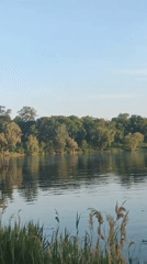 Peaceful lakeside afternoon captured in Sumy, Ukraine