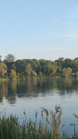 Peaceful lakeside afternoon captured in Sumy, Ukraine