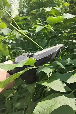 A person's hand is holding a pair of black electric hedge trimmers, with which they are cutting through branches of a leafy green bush. The scene is outdoors with sunlight filtering through the leaves.