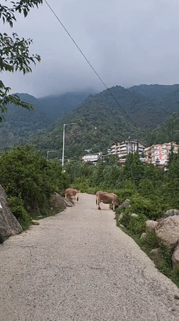 Scenic mountain views documented in Haini, India