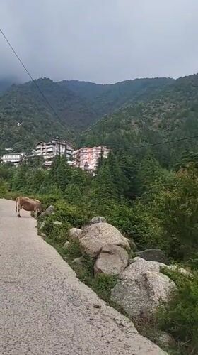 Scenic mountain views documented in Haini, India