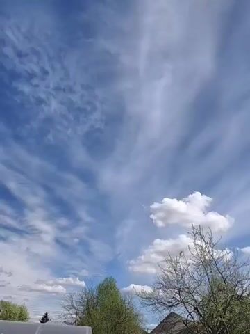The video shows a daytime sky with a variety of clouds and tree branches. The clouds range from thin streaks to small, puffy formations. The sun is visible through the clouds. There are trees and a section of roof visible at the bottom of the frame.