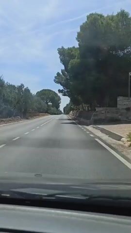 The video shows a view from inside a vehicle traveling on a paved road. The road is bordered by trees and some stone walls. The sky is blue with some clouds. The text overlay reads "This is happiness, the way home."