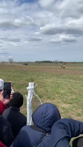 The video shows a harness race in a field. Two horses pulling sulkies are racing toward the camera. A person in a yellow vest stands by the track. Several spectators are gathered in the foreground. One person is holding up a mobile phone to record the race. The sky is cloudy. A dead, white-painted tree stands in the foreground.