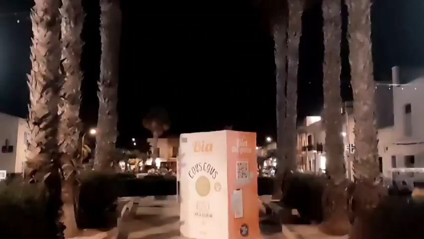 The video shows a nighttime view of palm trees. A sign with text and a QR code is visible in the foreground, under the trees.