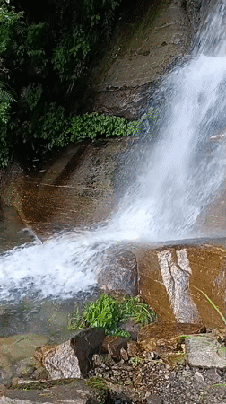Visitor documents peaceful waterfall scenes in Vashisht, India