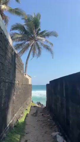 The video shows a narrow path between two dark brick walls leading to the ocean. Palm trees are visible above the walls, with a clear blue sky in the background. The ocean has turquoise water and visible waves. The path appears to be made of dirt and has some vegetation growing along the sides. There's some scattered debris on the ground. The scene is static, with no apparent people or movement.