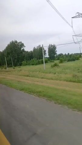 The video shows a view from inside a moving vehicle, looking out a window. The vehicle appears to be traveling on a paved road. To the left of the road, there is a grassy area with trees and utility poles in the distance. The sky is overcast. The video is very blurry and fast-moving, making it difficult to discern any specific details.