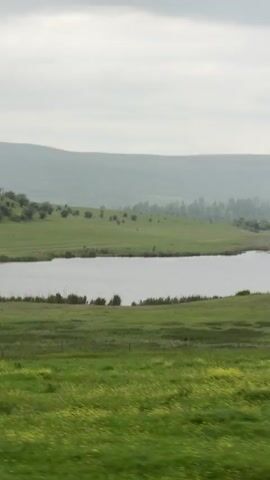The video shows a scenic view of a tranquil lake surrounded by lush green meadows under an overcast sky. A low mountain range is visible in the background, shrouded in a soft haze. The camera pans to the right, focusing on a blur of trees passing by rapidly, indicating motion, possibly from a moving vehicle. The scene is peaceful and captures the natural beauty of the landscape.