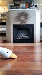 Plush goose rides robotic vacuum near fireplace