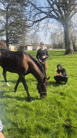 Musician plays wind instrument in field beside grazing horse