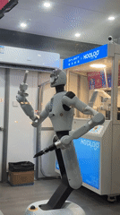 GALBOT humanoid robots displayed at Pudong shopping mall