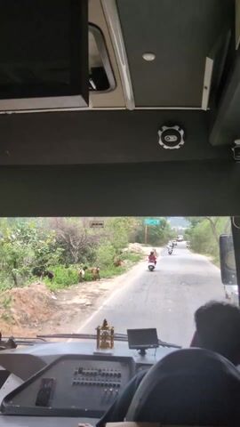 The video shows the perspective of someone driving a bus down a two-lane road. The driver, a man with dark hair, is visible in the foreground. The dashboard of the bus is cluttered with various items, including a phone, a small shrine, and a cardboard box. Outside the front window, the road is lined with trees and some dirt areas. Several scooters and cars are seen driving ahead of the bus. On the left side of the road, a group of goats is standing near the trees. The sky is overcast.