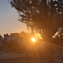 Sunset creates dramatic lighting effects through trees in Villa Domínico