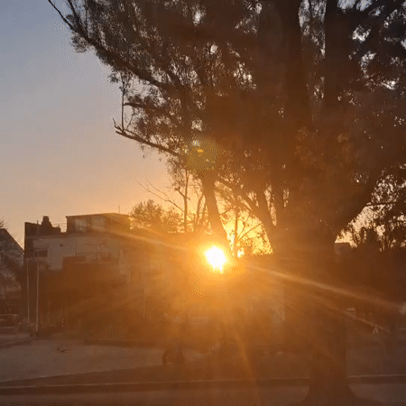 Sunset creates dramatic lighting effects through trees in Villa Domínico