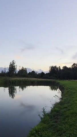 The video shows a peaceful landscape at dusk. A calm body of water is in the foreground, reflecting the sky and surrounding trees. The water is bordered by a grassy bank on the right, which slopes gently upwards towards a field. Beyond the field, a dense forest forms the horizon. The sky is a soft gradient of blue and grey with a few wispy clouds. The overall impression is one of tranquility and natural beauty. There are no people or animals visible in the video.
