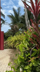 Hilltop tourist spot in Ko Samui with swings and coastal views