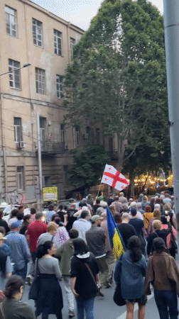 Demonstration with multiple flags marches through Tbilisi streets