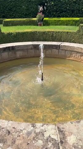 A fountain sprays water upwards from a dark nozzle in the center of a stone basin filled with murky, yellowish water. The basin has rough, weathered stone edges. In the background, a manicured garden features green hedges with sculpted edges and a neatly trimmed lawn. A potted plant with red flowers sits on the lawn in the middle distance. The scene is lit by bright sunlight, casting distinct shadows.