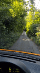 Morning drive captured on tree-canopied road in Spuž, Montenegro