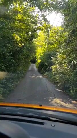 The video, filmed from inside a vehicle, shows a car driving down a narrow, tree-lined road in Spuž, Montenegro. The scene is dominated by dense green foliage forming a canopy overhead, with bright sunlight filtering through the leaves, creating dappled shadows on the road. The road itself appears to be a worn asphalt or gravel path, winding gently through what looks like a forest or thick woodland. The car's dashboard and the bottom edge of the windshield are visible in the foreground, with text "8 833" and "M 14865" on the dashboard, possibly indicating mileage or trip data. The weather is clear and sunny, suggesting a pleasant daytime drive through a serene, natural environment. No people are visible.