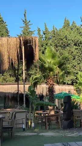 This video depicts an outdoor seating area at a restaurant or bar, possibly a tropical-themed establishment. In the foreground, there are several empty tables and chairs made of wood and wicker. A large straw umbrella provides shade over one section of the seating. In the background, lush green trees and palm trees create a natural backdrop. A statue resembling a Moai figure from Easter Island stands prominently near some of the tables. The overall atmosphere suggests a relaxed, outdoor dining or lounge setting. The sun appears to be shining, casting long shadows and illuminating the scene with warm light. No people are visible in the video.