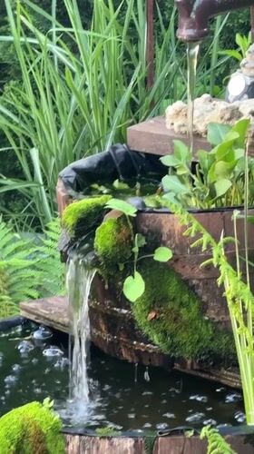 Backyard koi pond with barrel waterfall documented in Berkovitsa