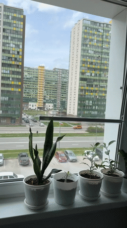 Apartment window view captured in Murino, Russia