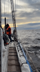 Sailboat navigates choppy Gulf of Finland waters under overcast skies