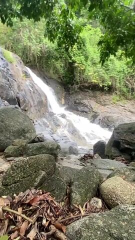 The video shows a waterfall cascading over rocks in a lush green forest. The water is white and foamy as it flows down the rocky slope. Large, moss-covered rocks are scattered around the base of the waterfall, with dried leaves and twigs nestled among them. The surrounding vegetation is dense, with green trees and foliage framing the waterfall. The camera angle is low, looking up at the waterfall from among the rocks at its base. The sound of rushing water is audible.