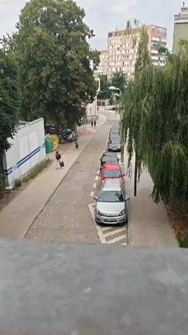 The video depicts a street scene in Stargard, Poland, on an overcast day. The street is paved with cobblestones and lined with parked cars. In the foreground, a gray car is parked, followed by a red car, and then several darker-colored vehicles. A sidewalk runs alongside the parked cars, and a weeping willow tree with long, drooping branches partially obscures the view on the right.

On the left side of the street, there is a white building with blue stripes and some green and yellow bins. Further down the street, more trees are visible, including a large, leafy green tree. In the background, multi-story buildings can be seen, suggesting an urban or suburban environment.

A few people are walking on the sidewalk. Two individuals are walking together, and another person is walking with a suitcase. The activity appears to be mundane, with people going about their day. The weather is cloudy, and the overall atmosphere is calm and ordinary. No text is clearly visible in the video. The time of day appears to be daytime, given the ambient light.